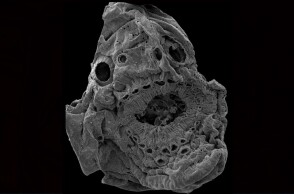 mystirio-epistimones