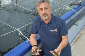 Ναπολέων Τσάνης