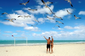 Τουρίστες σε παραλία της Κούβας υψώνουν τα χέρια προς τους γλάρους που πετούν από πάνω τους