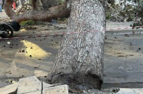 Δέντρο καταπλάκωσε 51χρονο στο Ηράκλειο Κρήτης