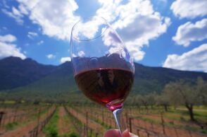 Μεγάλες Μέρες Νεμέας