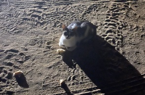 Ο Φώτης Γεωργελές μοιράζεται εικόνες, σκέψεις και παρατηρήσεις από τις καλοκαιρινές διακοπές.