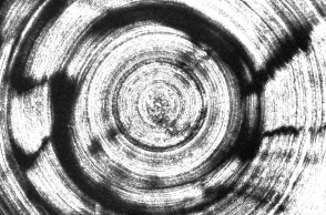 mail_profilepic_electric_nights