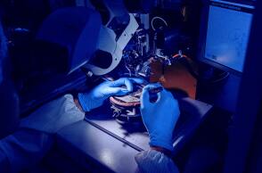 Επιστήμονας σε εργαστήριο