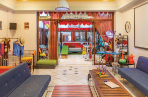 Dog n' Roll pet grooming