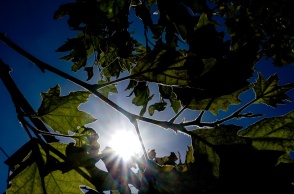 Ηλιοφάνεια - Ο καιρός σήμερα