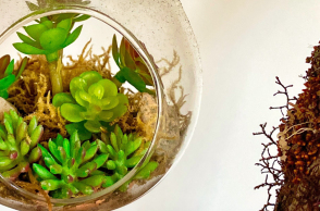 Τι σημαίνει zero waste;