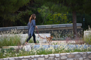 Νέα όψη αποκτά η πλατεία Θησείου μετά την ανάπλαση του Δήμου Αθηναίων - Μεσογειακά φυτά, φωτισμοί και φυσικά υλικά διαμορφώνουν τη σύγχρονη αισθητική της.