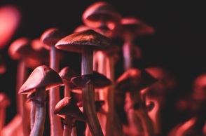 Έρευνα: «Παράθυρο ευκαιρίας» για θεραπεία της κατάθλιψης αποτελεί φάρμακο βασισμένο στη χημική ένωση της ουσίας που περιέχεται στα παραισθησιογόνα μανιτάρια.