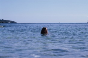 Συνέντευξη Tom Adams: Ο βρετανός τραγουδοποιός μιλάει για το νέο του άλμπουμ «Beside The Analogue Sea», τις μετακομίσεις και τα επόμενα μουσικά βήματά του.