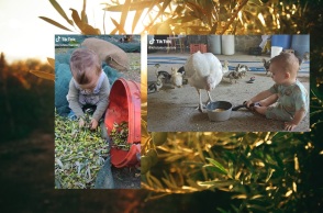 Αγαπήθηκε από το κοινό του Facebook και του TikTok ο μικρός Στέλιος από την Κρήτη - Είναι μόλις 2 ετών, αλλά ασχολείται με αγροτικές και κτηνοτροφικές δουλειές. 