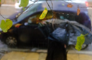 Πολίτης με ομπρέλα προστατεύεται από τη βροχή - Φύλλα δέντρου σε πρώτο πλάνο