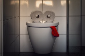 Δύο ρολά τουαλέτας πάνω στο καπάκι της λεκάνης και ένα κόκκινο πανί μοιάζουμε με πρόσωπο που έχει τη γλώσσα έξω