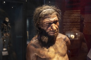 Εντοπίστηκαν σε σπηλιές στην Ελλάδα και το Ιράκ τα παλαιότερα μαγειρεμένα υπολείμματα - Περίπου 70.000 ετών, υποδηλώνουν ότι οι Νεάντερταλ ήταν καλοφαγάδες.