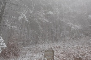 Στα λευκά ντύθηκαν οι ορεινές περιοχές της Χαλκιδικής – Πλήρως καλυμμένος από το χιόνι ο Χολομώντας, στα 650 μέτρα υψόμετρο. 