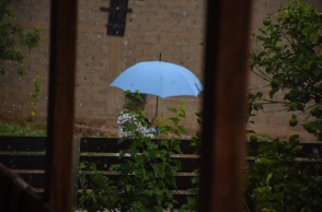 Γυναίκα με ομπρέλα στο βάθος του πλάνου προστατεύεται από τη βροχή - Στο προσκήνιο φυτά με σταγόνες βροχής