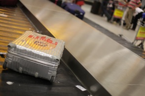 Σκύλος ξεχάστηκε σε σακίδιο, με αποτέλεσμα να εντοπιστεί από τους υπαλλήλους του ελέγχου αποσκευών σε αεροδρόμιο του Ουινσκόνσιν των ΗΠΑ.