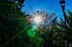 Ήλιος διακρίνεται πίσω από τα φυλλώματα δέντρου