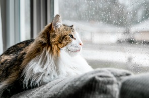 Ο καιρός σήμερα, Σάββατο 14 Ιανουαρίου: Βροχές και σποραδικές καταιγίδες - Αναλυτική πρόγνωση από το meteo και την Εθνική Μετεωρολογική Υπηρεσία.