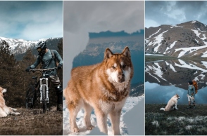 Έκτορας, η μασκότ του ορειβατικού ξενώνα «Munti Smolikas»