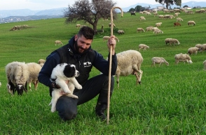 Φρουροί των Αγράφων