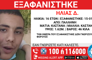 exafanisi_pallini_16xronos