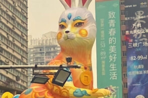 rabbit-china