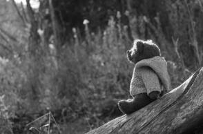 Αρκουδάκι σε κορμό δέντρου - Εικόνα που παραπέμπει σε κακοποίηση παιδιού