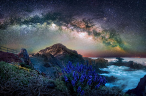 Garden Photographer of the Year 2023: Οι νικητές του διεθνούς διαγωνισμός φωτογραφίας κήπου, που διεξάγεται από το Royal Botanic Gardens του Λονδίνου.