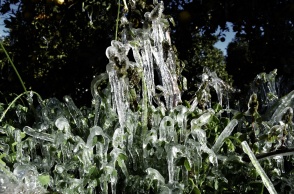 Παγετός και πάγος στα κλαδιά και τα φύλλα δέντρου