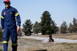 Φιντέλ, Τάλως, Έκτωρ: Τα σκυλιά της 2ης ΕΜΑΚ που σώζουν ζωές - Βρέθηκαν ακόμη και στις σεισμόπληκτες περιοχές της Τουρκίας.