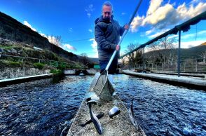 Karatzenis smoked fish