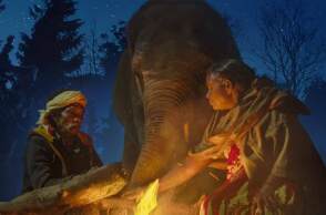 «Γητευτές ελεφάντων» στο Netflix: Το ινδικό ντοκιμαντέρ για τον ακατάλυτο δεσμό ανάμεσα σε δύο ανθρώπους, και δύο νεαρούς ελέφαντες.