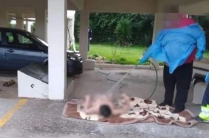 Ωρωπός: «Δεν υπάρχει καμία δικαιολογία, το πόρισμα της ΕΔΕ θα πάει στον εισαγγελέα», λέει ο δήμαρχος