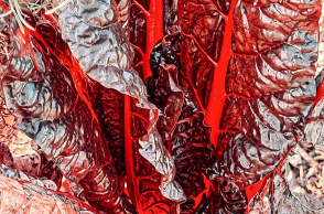 «Ο Κήπος των Εσπερίδων» της Αγνής Χρονοπούλου στην Art Zone Gallery 42