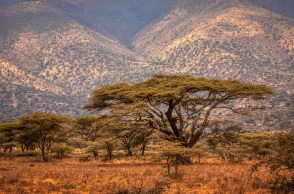 Τανζανία: Ειδικοί ερευνούν για μυστηριώδη μεταδοτική ασθένεια που προκάλεσε τον θάνατο 5 ανθρώπων - Τα συμπτώματα και οι τρόποι μετάδοσης.