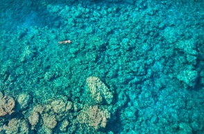 Μια θεαματική περιήγηση στα ελληνικά νησιά και σε 25 ξεχωριστούς τουριστικούς προορισμούς της χώρας μας, μέσα από το πρίσμα του National Geographic.