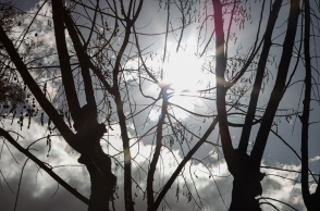 Συννεφιά και λιγοστές ακτίνες του ήλιου πίσω από κλαδιά δέντρου θυμίζουν φθινοπωρινό σκηνικό καιρού
