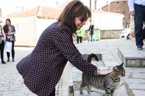 Κατερίνα Σακελλαροπούλου: Η ΠτΔ αναφέρθηκε στην Παγκόσμια Ημέρα Αδέσποτων Zώων - Ανάγκη να τους δείχνουμε καθημερινά το ενδιαφέρον και τον σεβασμό μας.