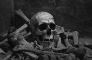 Ανθρώπινα οστά