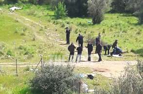 Δολοφονία στην Κάτω Αχαΐα: Αστυνομικές αρχές σε χωράφι