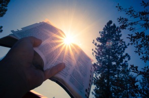 Κένυα: Τουλάχιστον 21 πιστοί μιας αίρεσης νήστεψαν μέχρι θανάτου, κατόπιν προτροπής του αρχηγού τους - Πίστεψαν ότι θα συναντήσουν τον Ιησού.