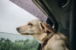 Καιρός: Βροχές και καταιγίδες την Κυριακή 23 Απριλίου - Σε ποιες περιοχές θα εκδηλωθούν έντονα φαινόμενα - Η πρόγνωση της Εθνικής Μετεωρολογικής Υπηρεσίας. 