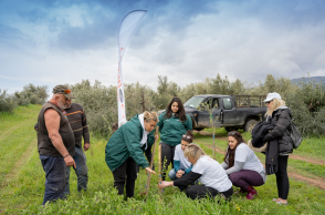 δενδροφύτευση 