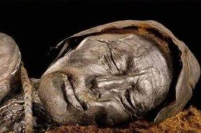 tollund-man