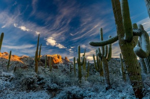 ΟΗΕ: Η περίοδος 2023-2027 θα είναι αναμφίβολα η πιο ζεστή που έχει καταγραφεί ποτέ στον πλανήτη, σύμφωνα με τον Παγκόσμιο Μετεωρολογικό Οργανισμό.