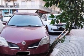 Μηνυτήρια αναφορά κατέθεσε ο δήμος Θεσσαλονίκης σε βάρος ασυνείδητου οδηγού που πάρκαρε το αυτοκίνητο του σε δενδροδόχο, προκαλώντας σοβαρές φθορές.