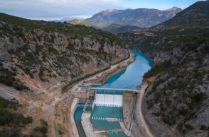 Δαφνοζώναρα