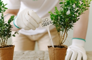 Eco Tips