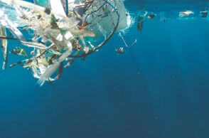 Η απειλή της θαλάσσιας ρύπανσης